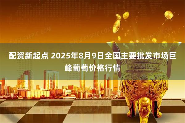 配资新起点 2025年8月9日全国主要批发市场巨峰葡萄价格行情
